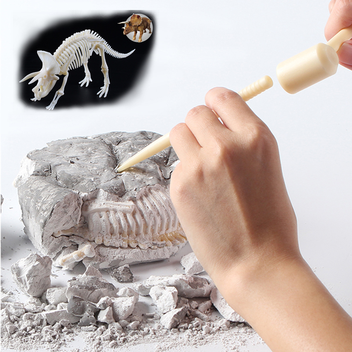 Dinosaur Fossil Digging Kit – Enkindle Joy