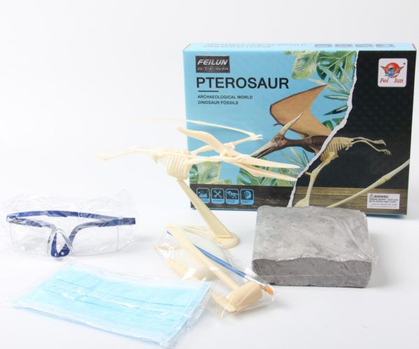 FeiLun - Fossil Digging Kit - Pterosaur